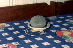 laranja3.jpg (13260 bytes)