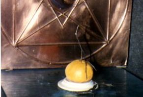 laranja4.jpg (12115 bytes)