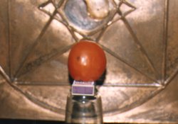 tomates07.jpg (10639 bytes)